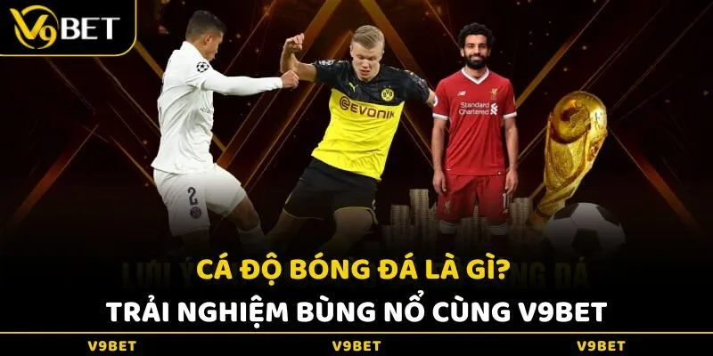 Cá Độ Bóng Đá Là Gì? Trải Nghiệm Bùng Nổ Cùng V9Bet