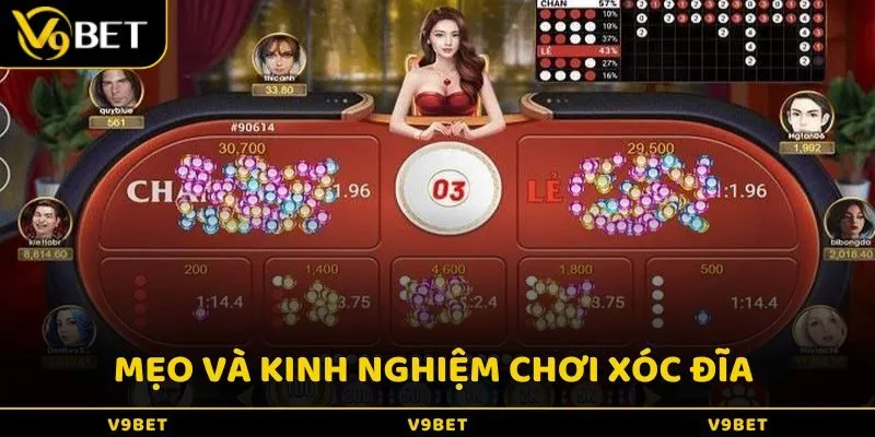 Mẹo và kinh nghiệm chơi Xóc Đĩa dễ thắng cho người mới